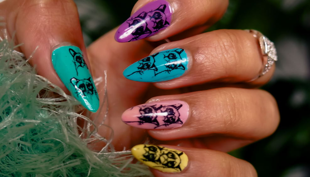 5 Easy to Make Cat Nail Designs – Purrs and Whiskers